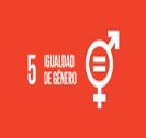 Objetivo nº5  Agenda 2030